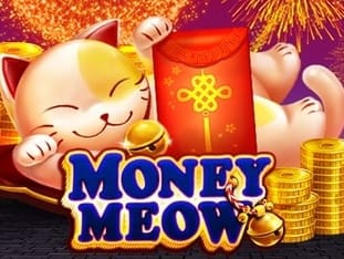 Money Meow